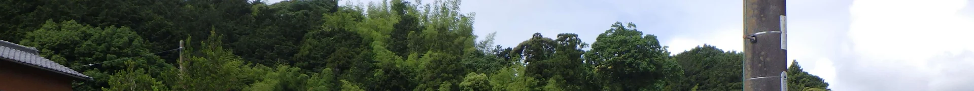 View 7
