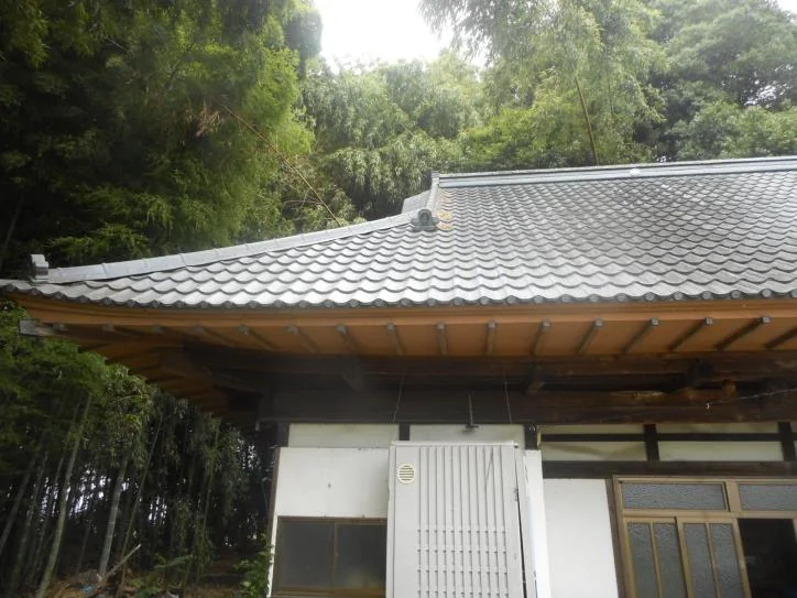 View 6