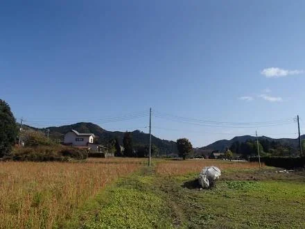 View 2
