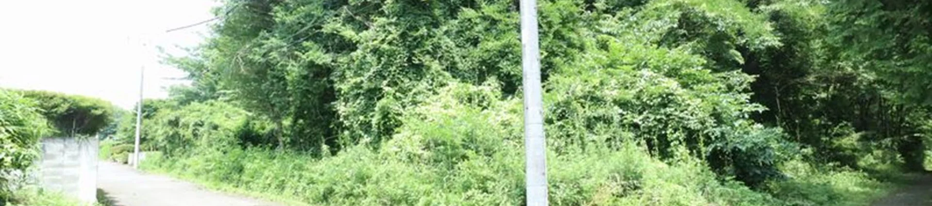 View 3
