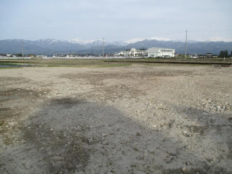 View 3