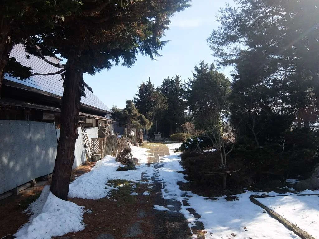 View 8