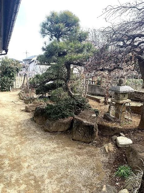 View 10