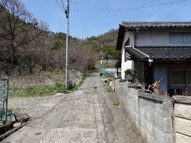 View 8