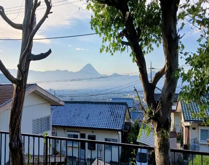 View 3