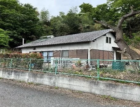 View 24