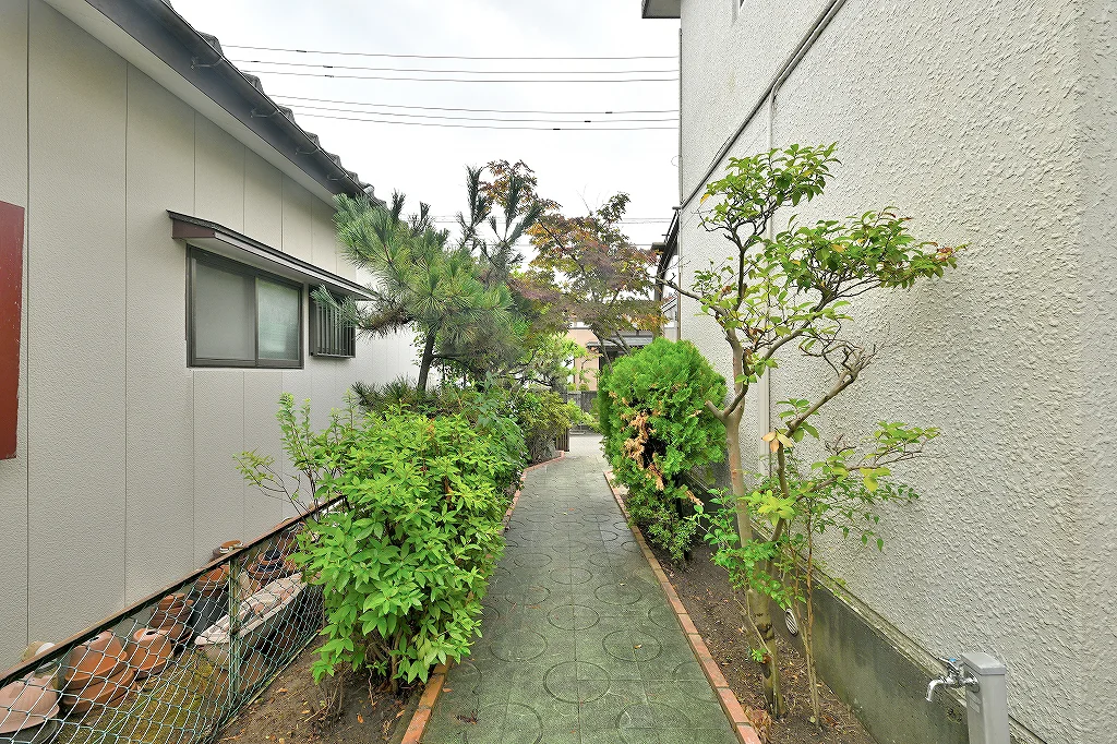View 6