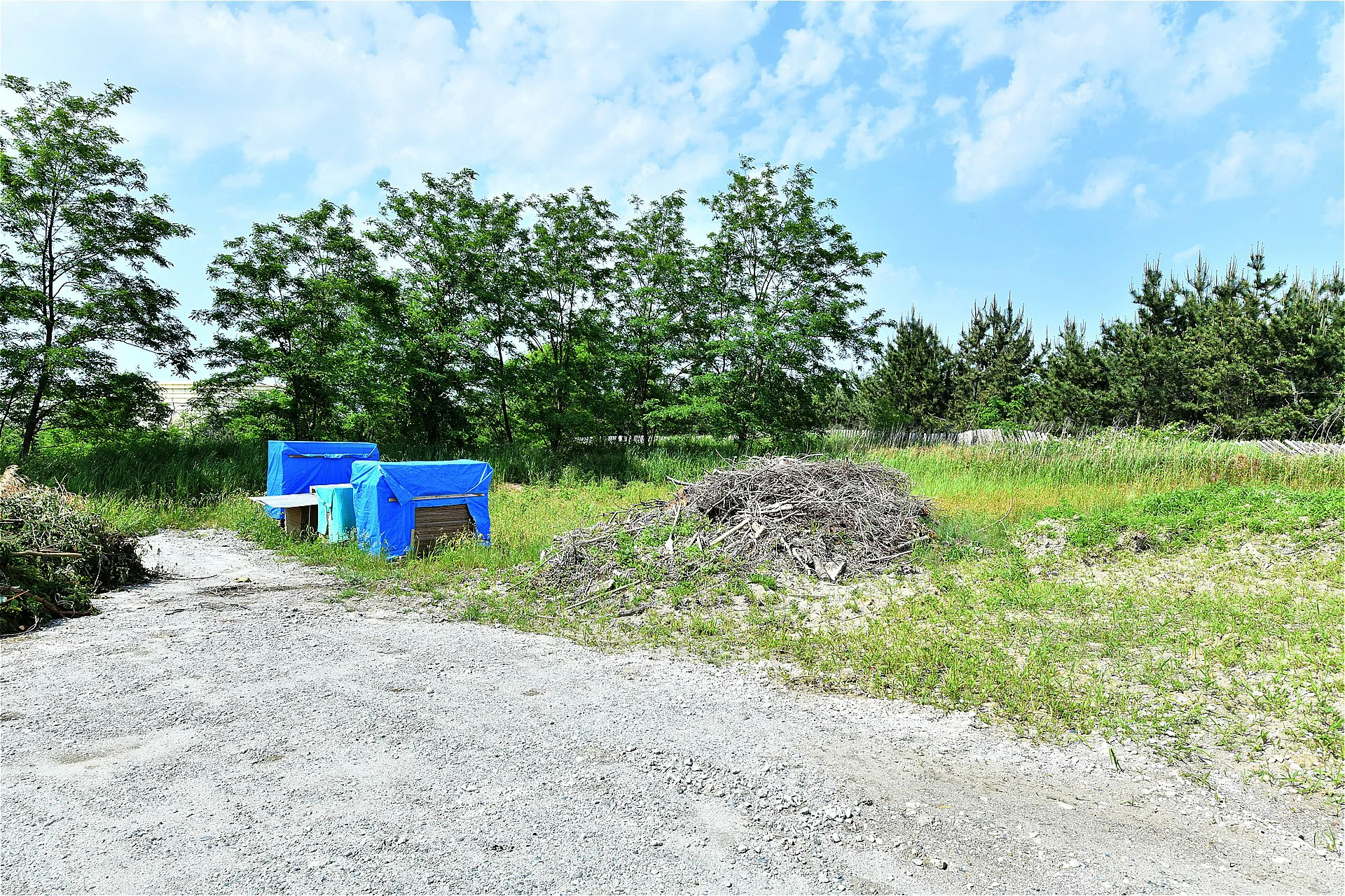 View 7
