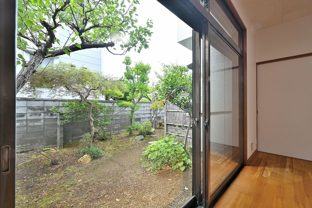 View 14