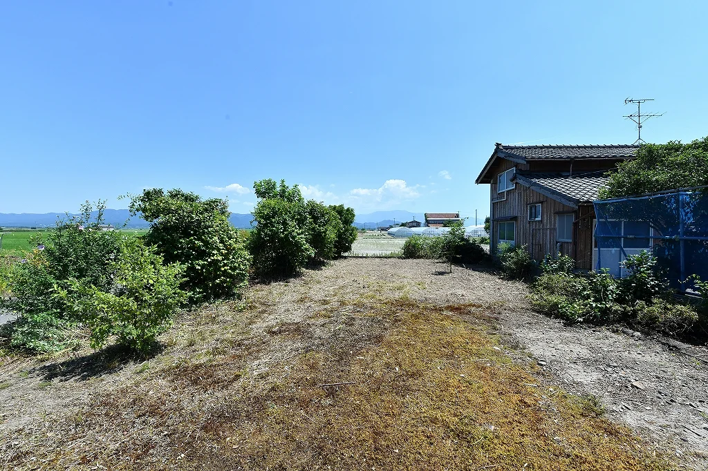 View 15