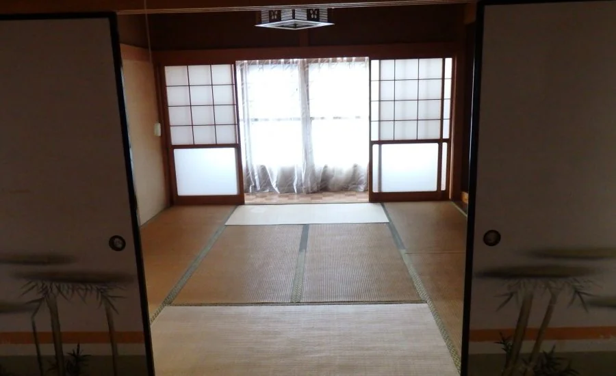 View 8