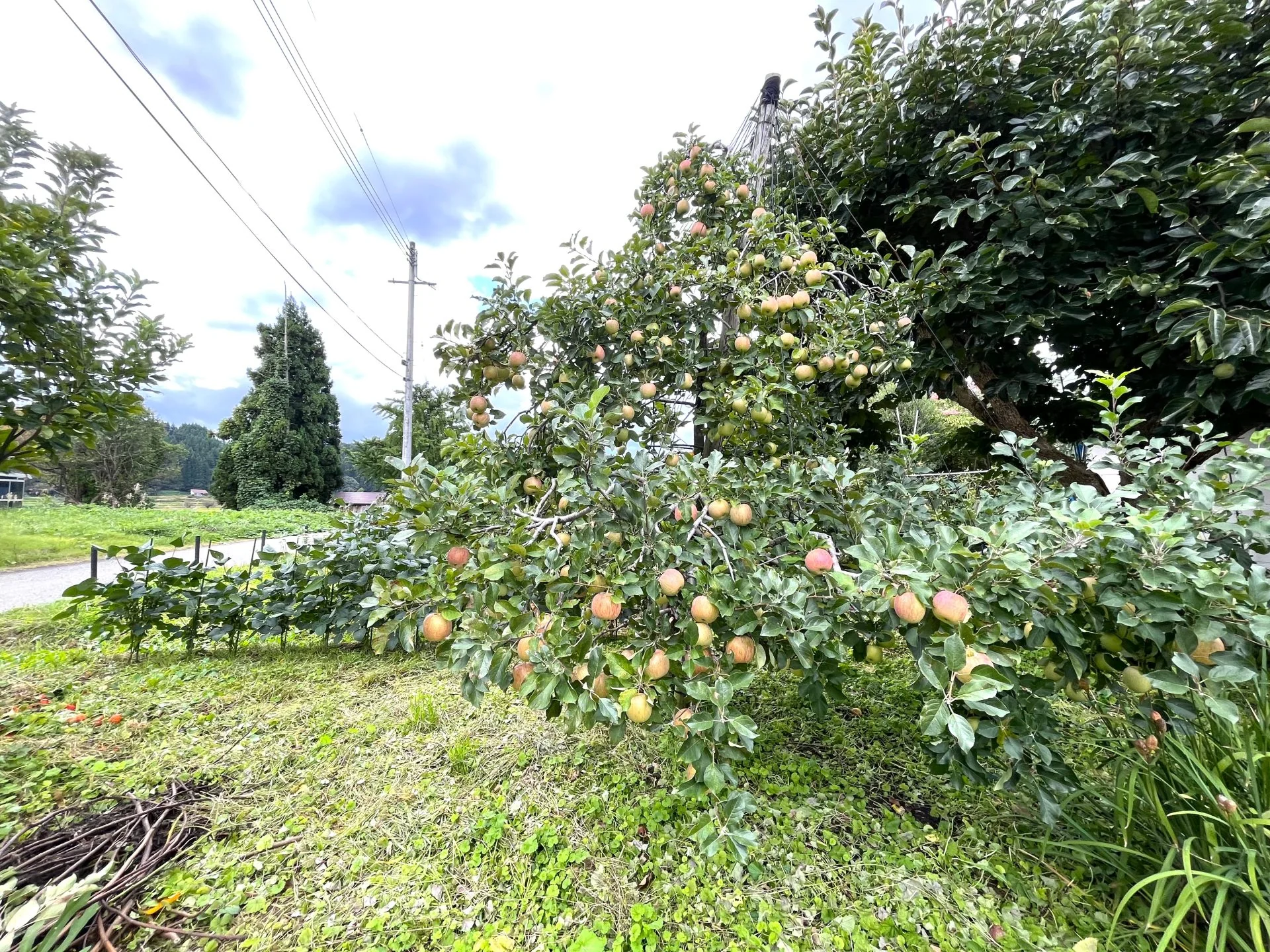 View 19