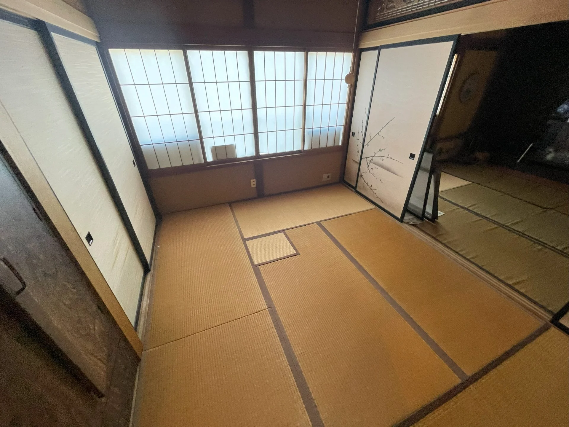 View 24