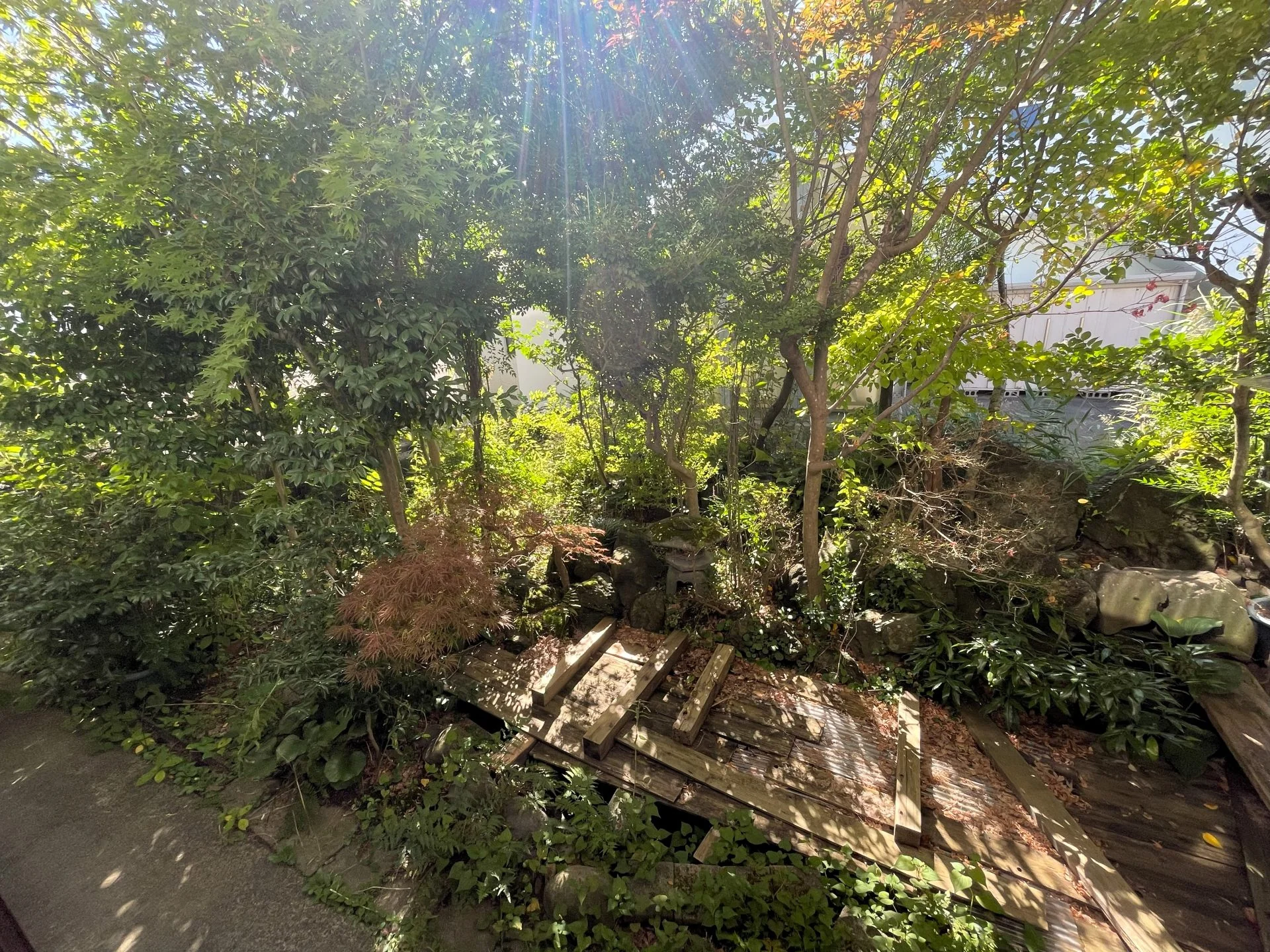 View 32