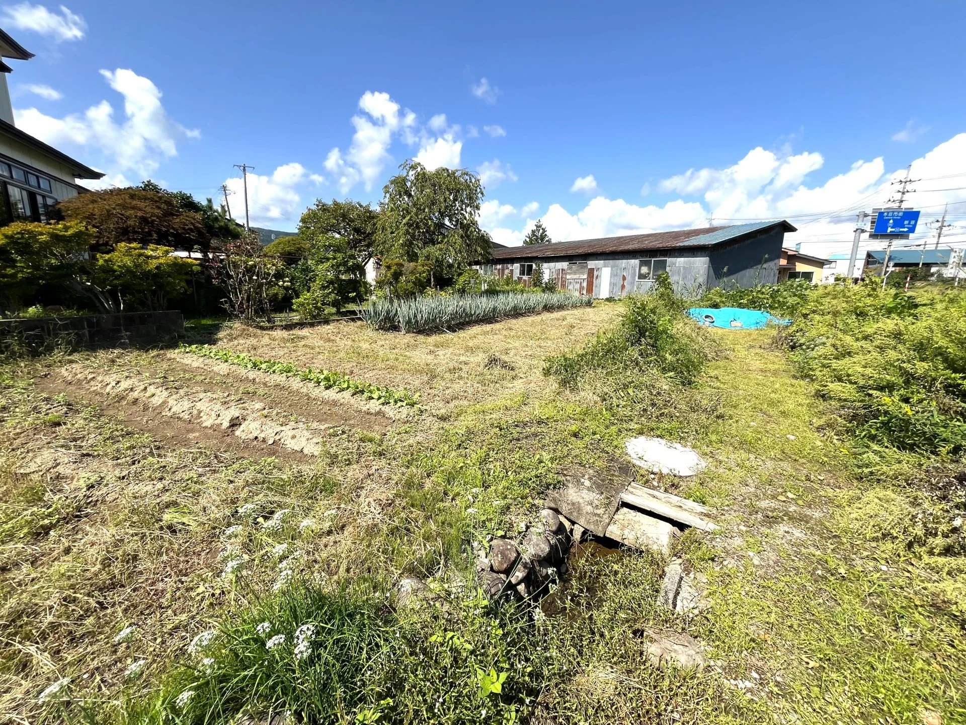 View 31