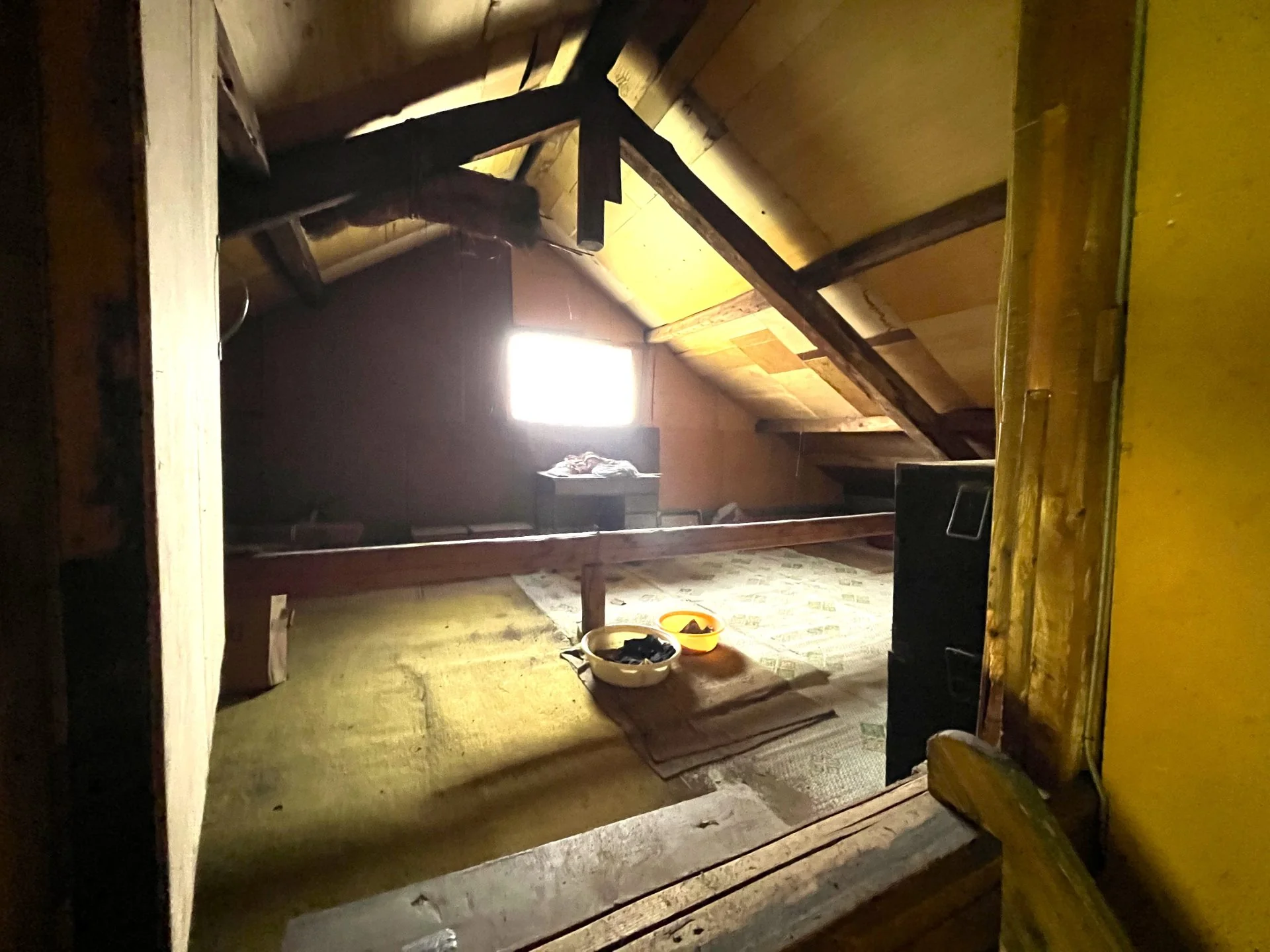 View 22