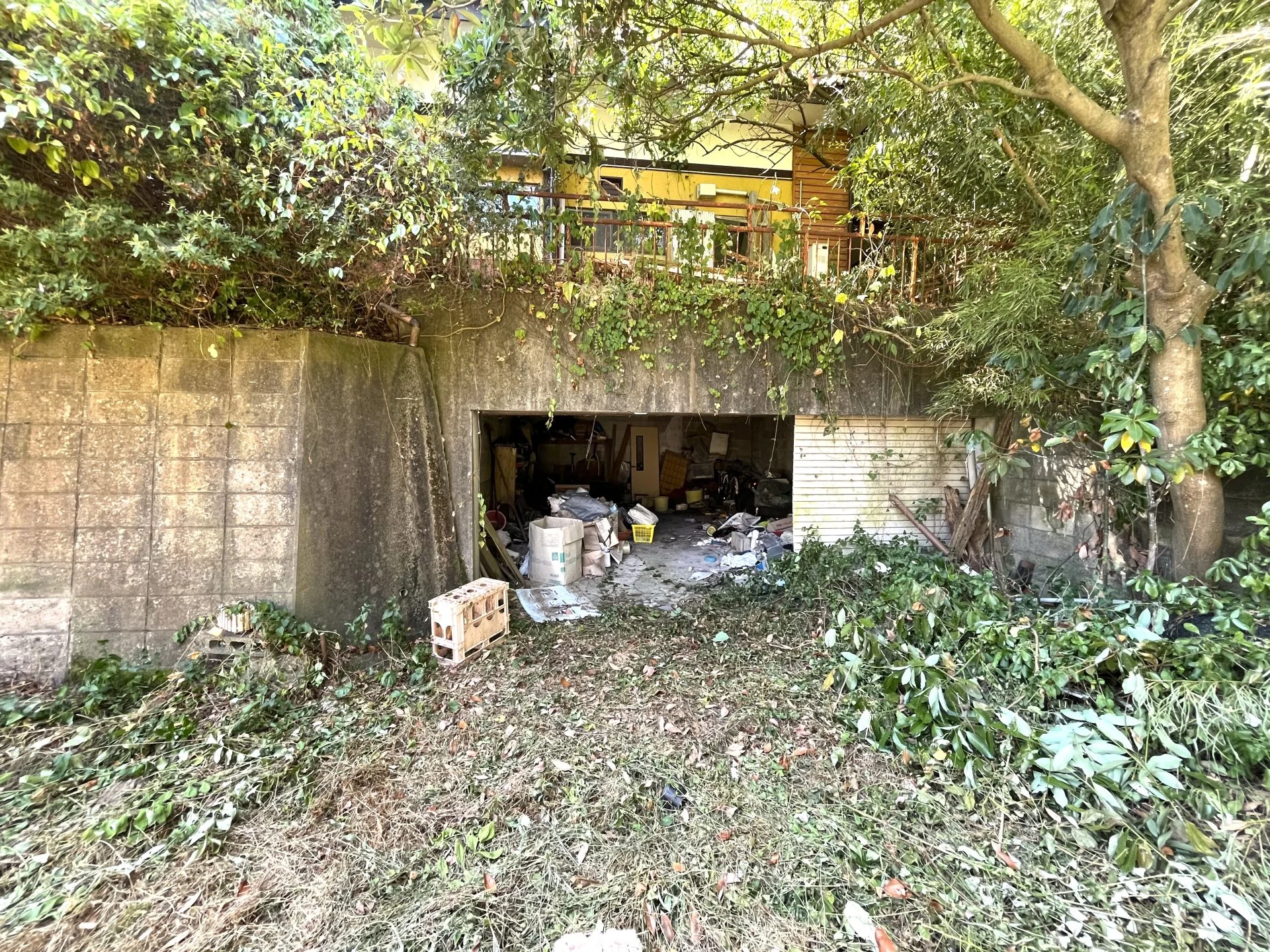 View 23