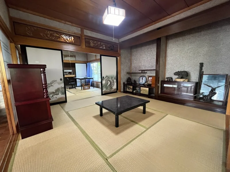 View 8