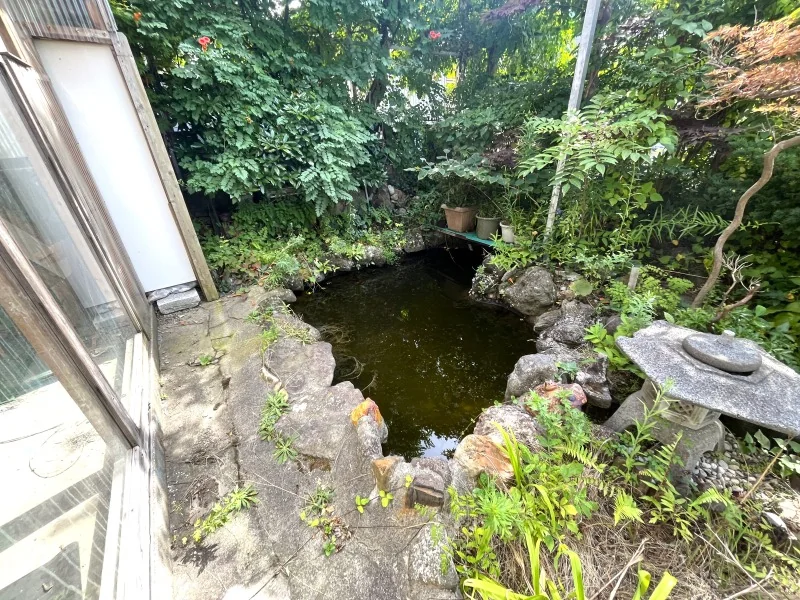 View 23