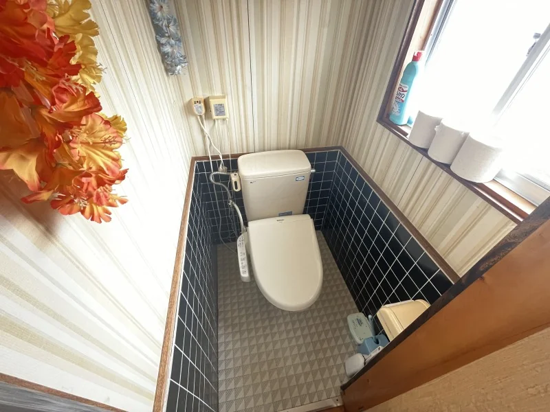 View 12
