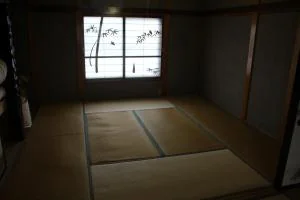 View 10