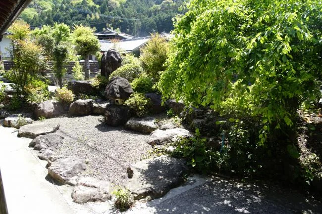 View 5