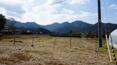 View 7