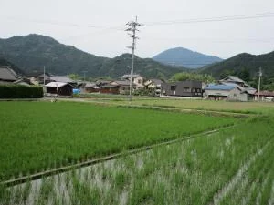 View 8