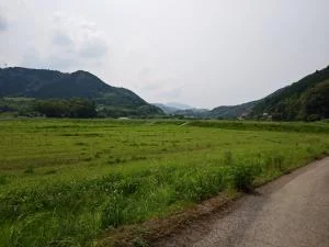 View 2