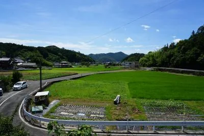 View 6