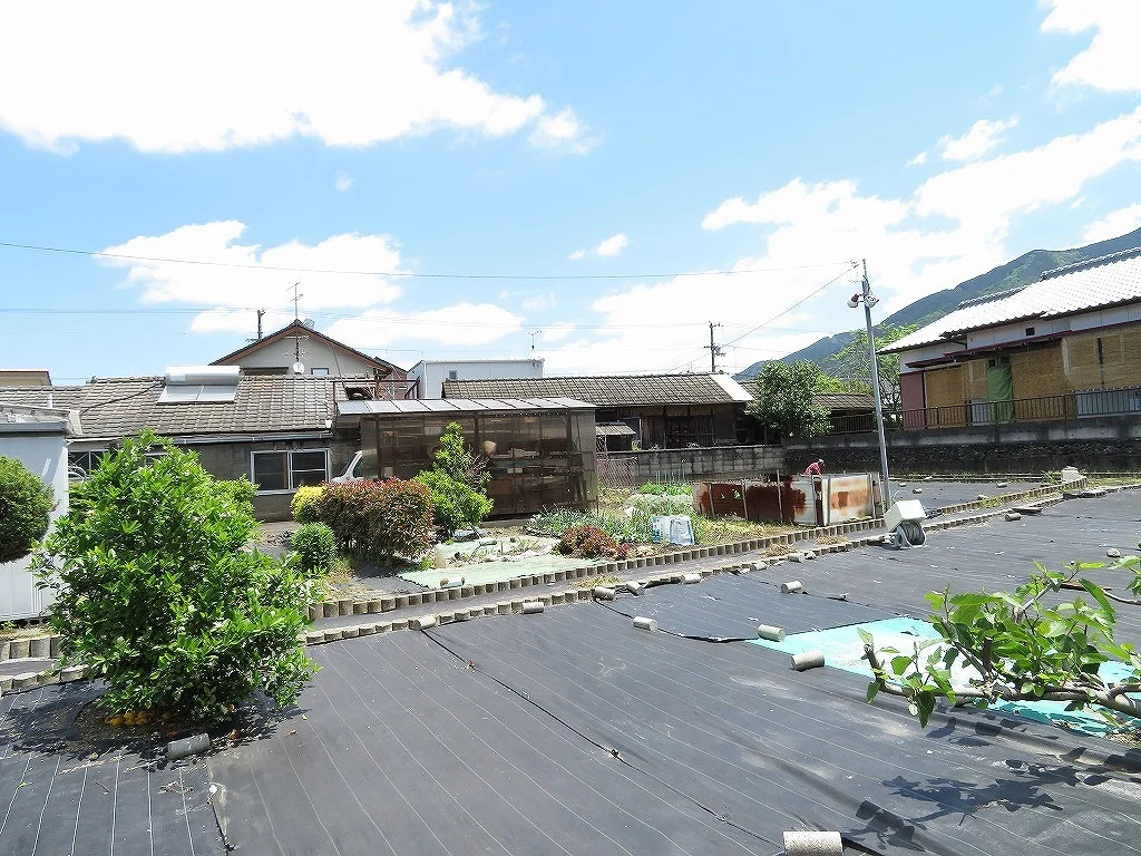 View 7