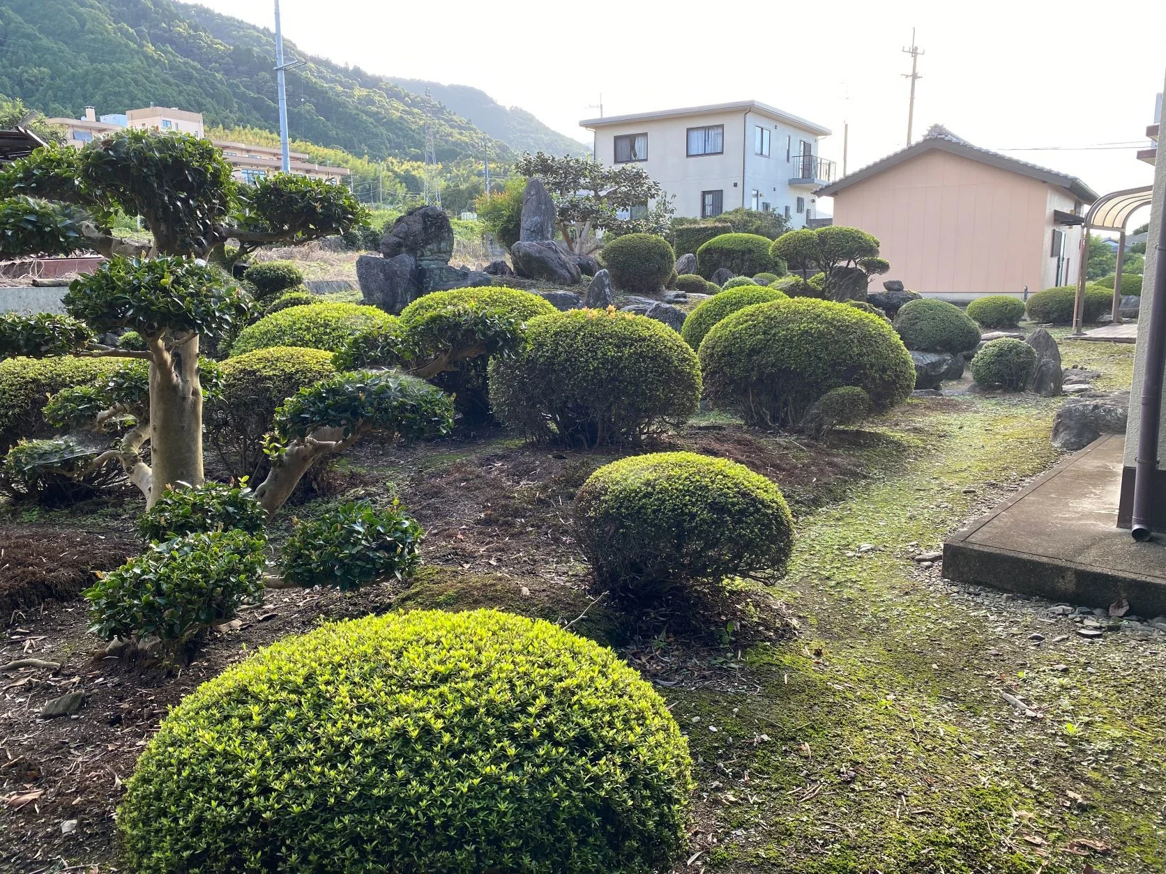 View 2