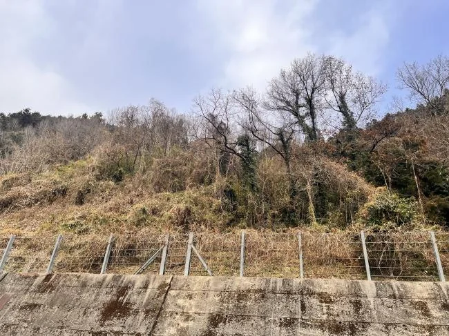 View 11