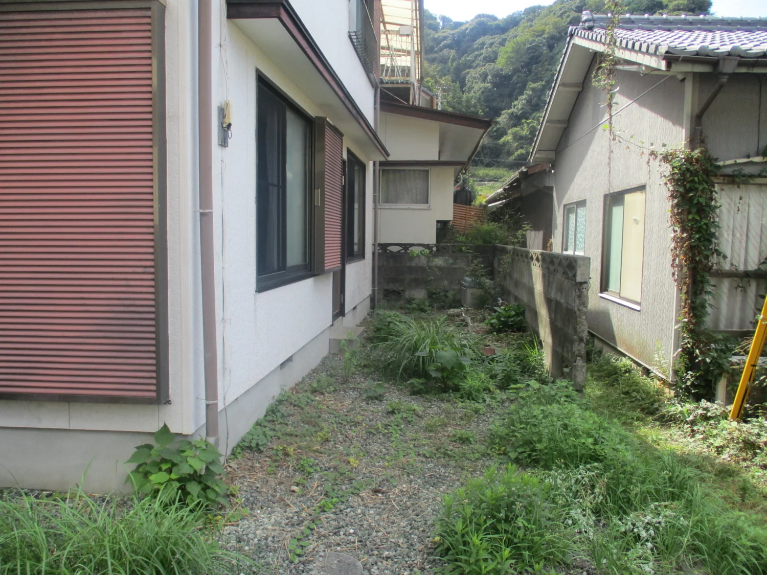 View 4