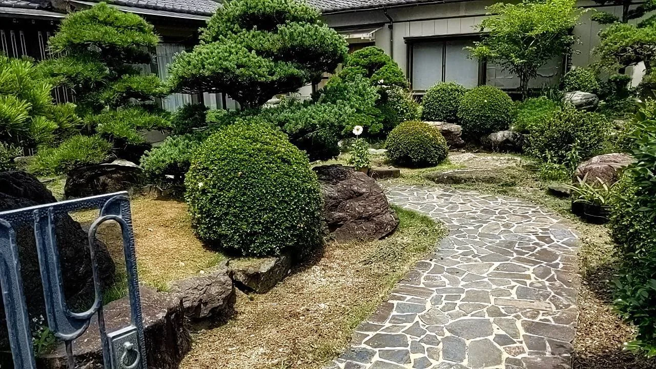View 3