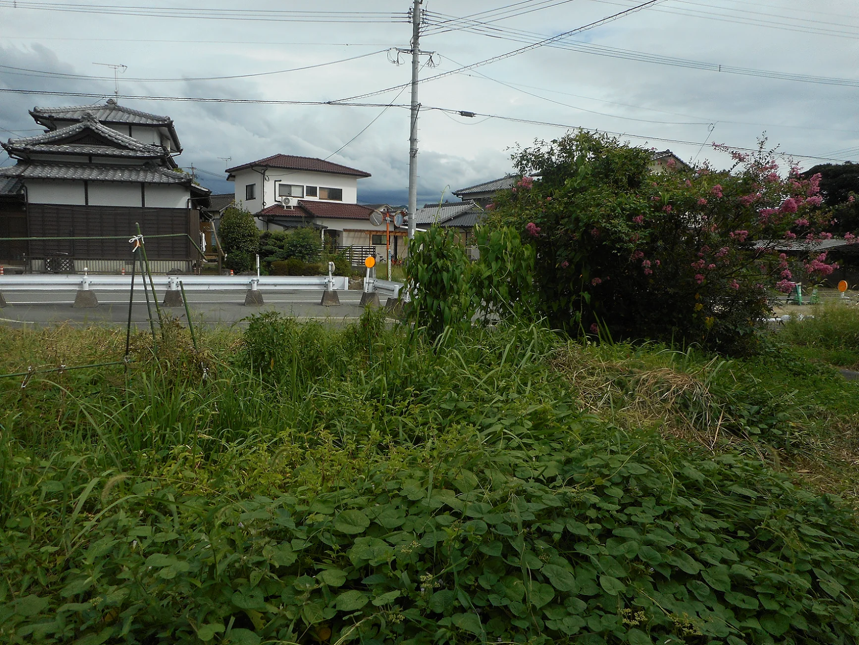 View 3