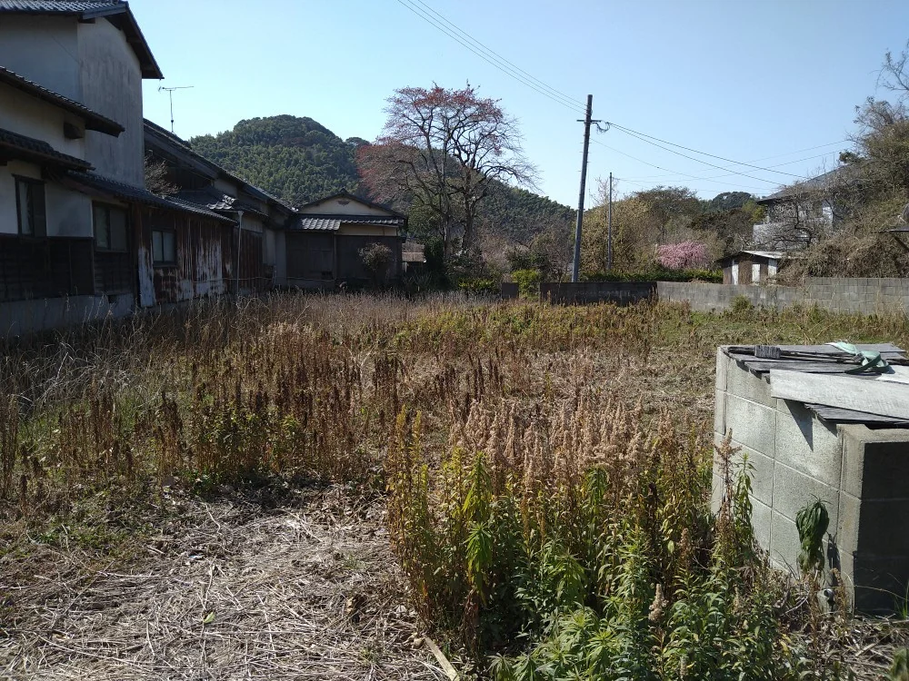 View 2