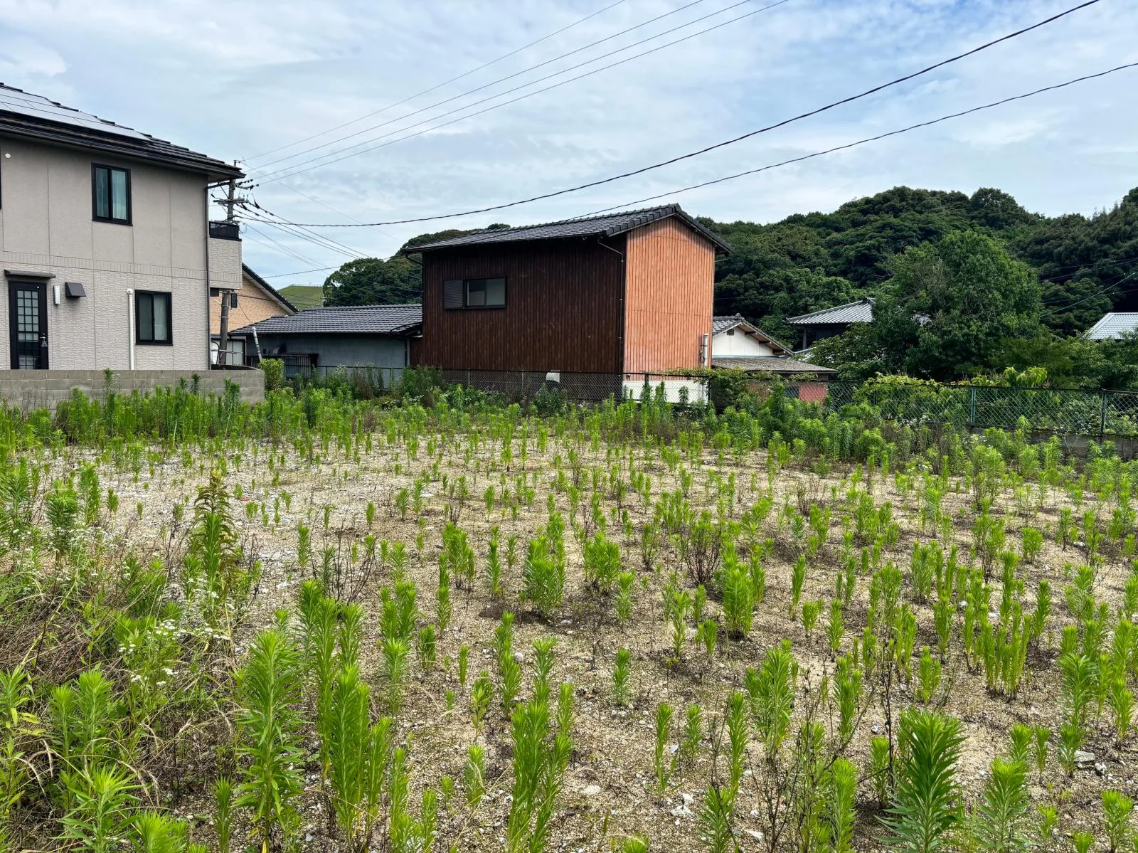 View 2
