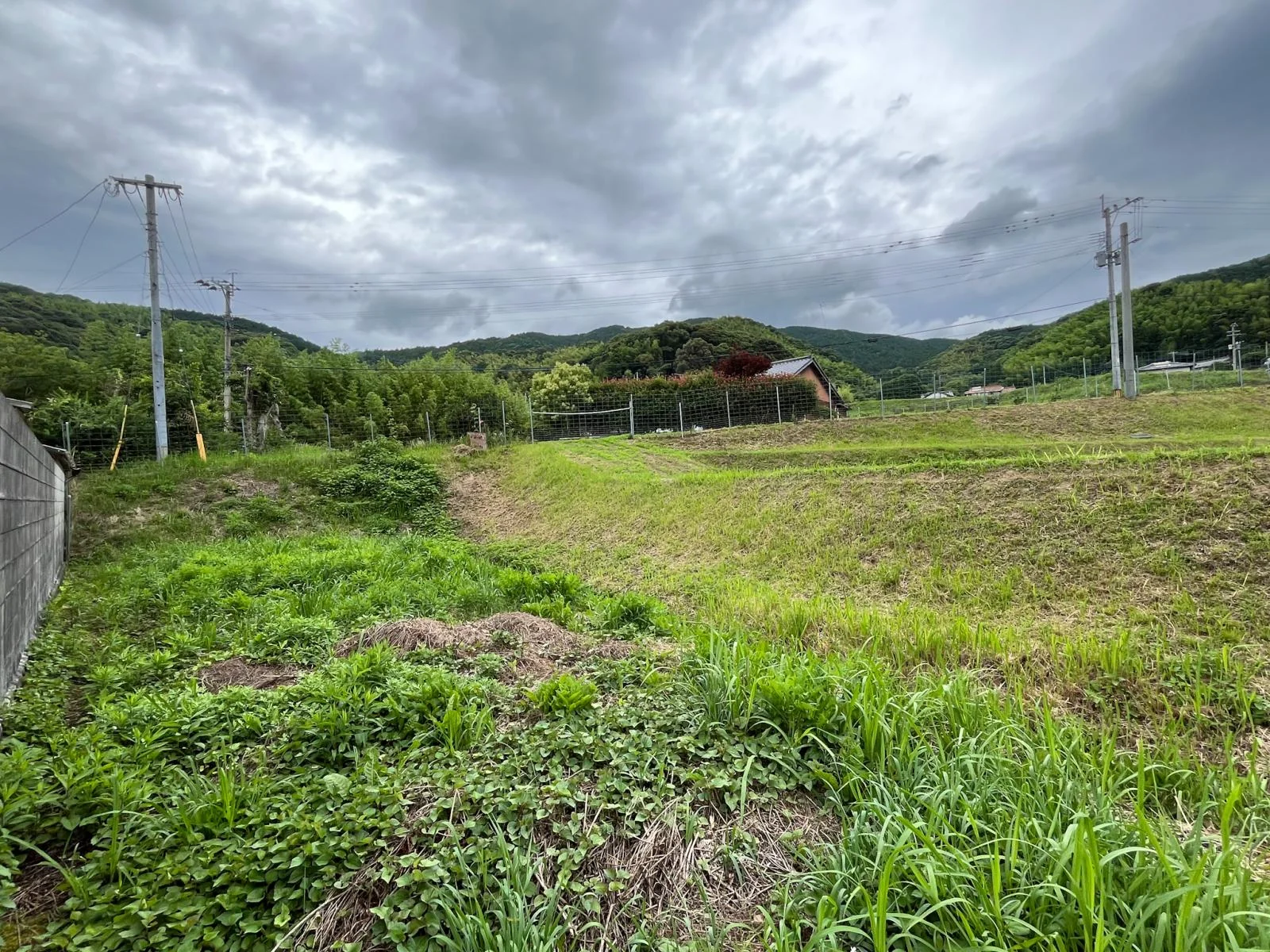 View 20