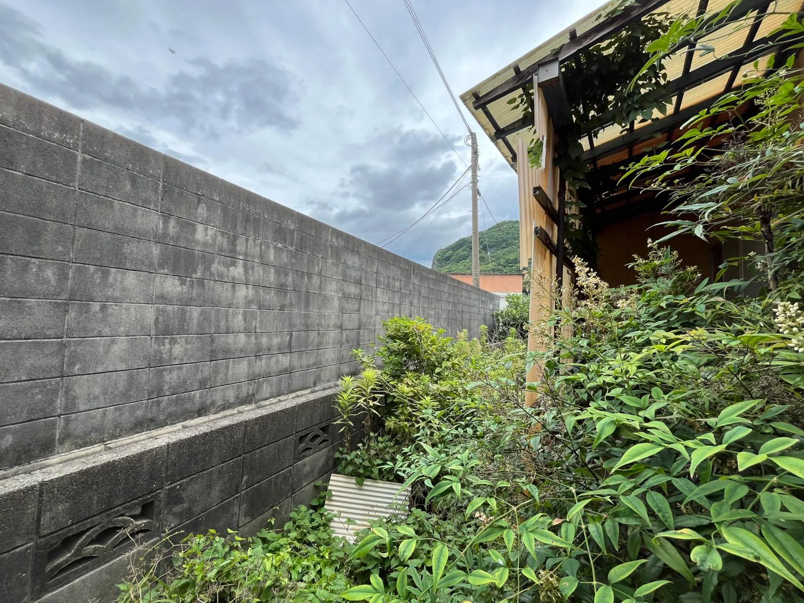 View 19