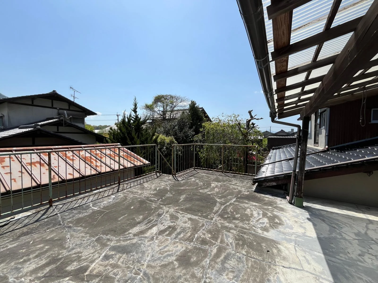 View 24
