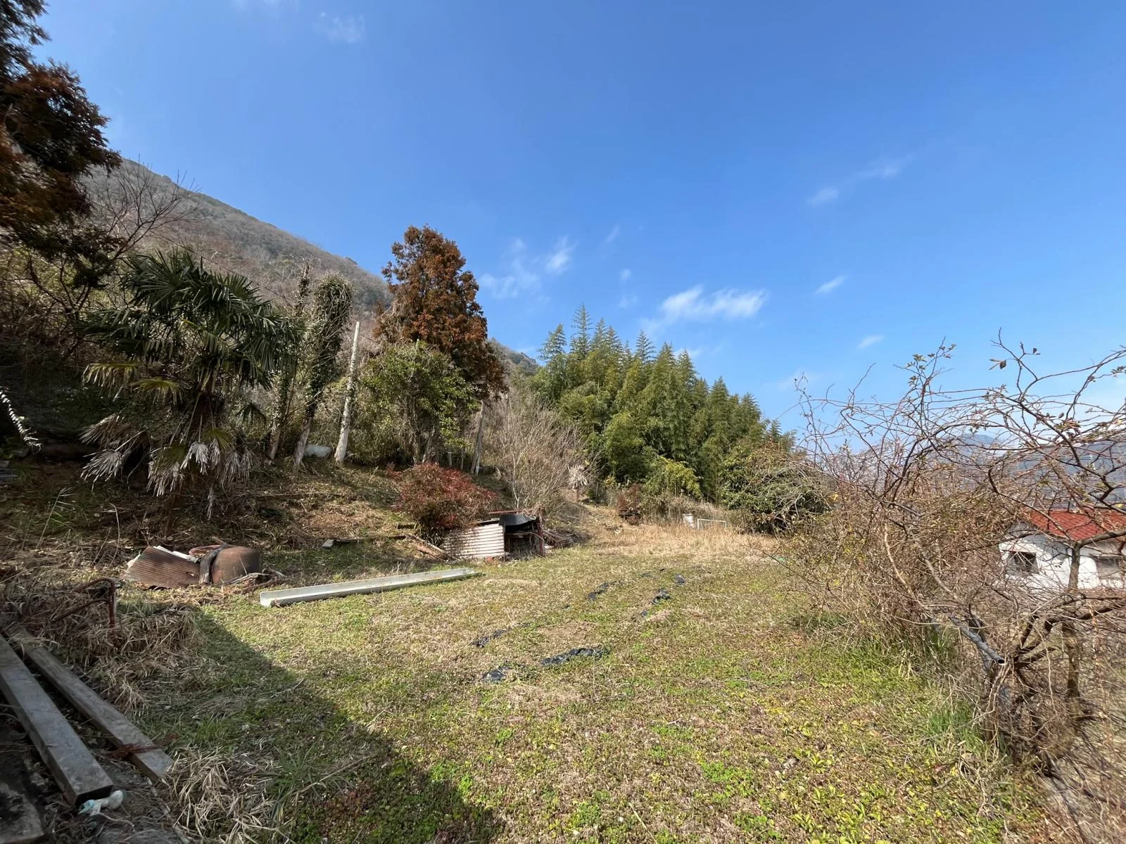 View 24