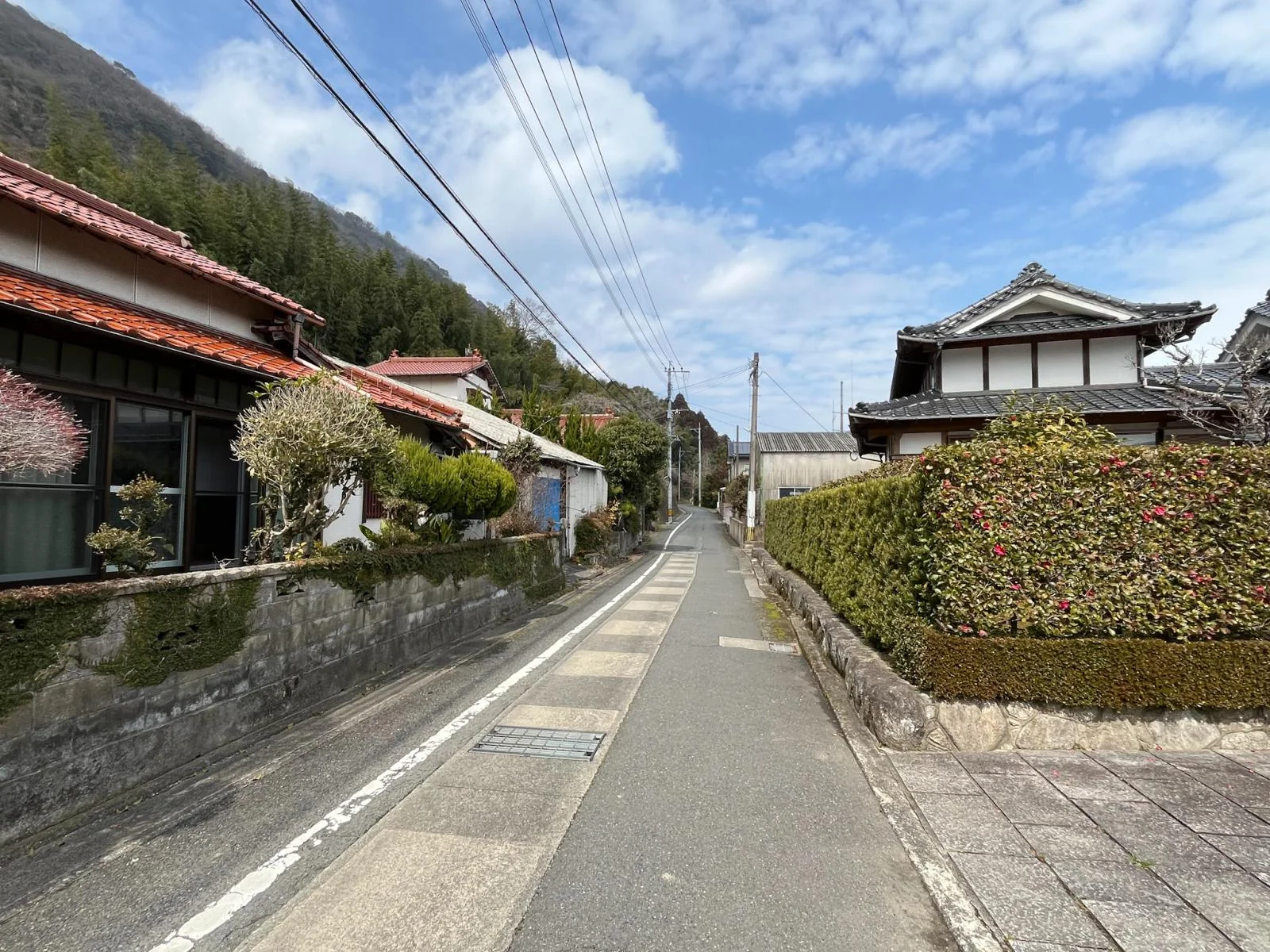 View 25