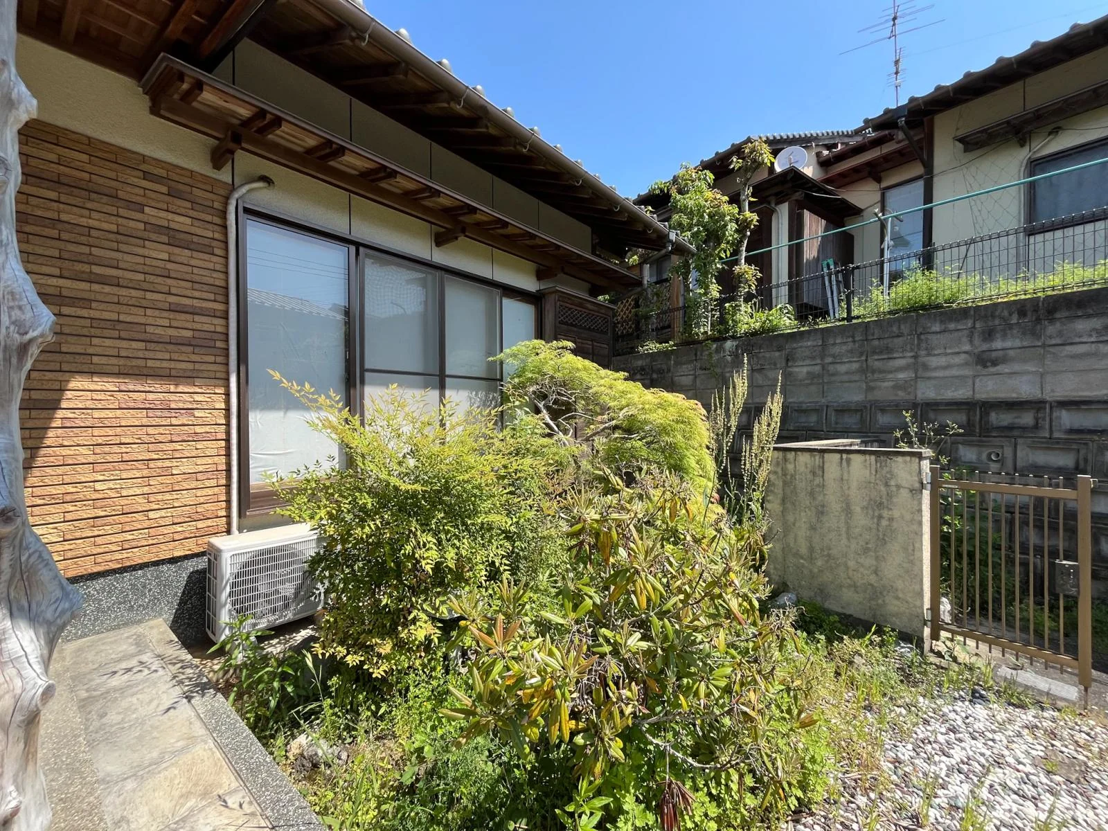 View 18