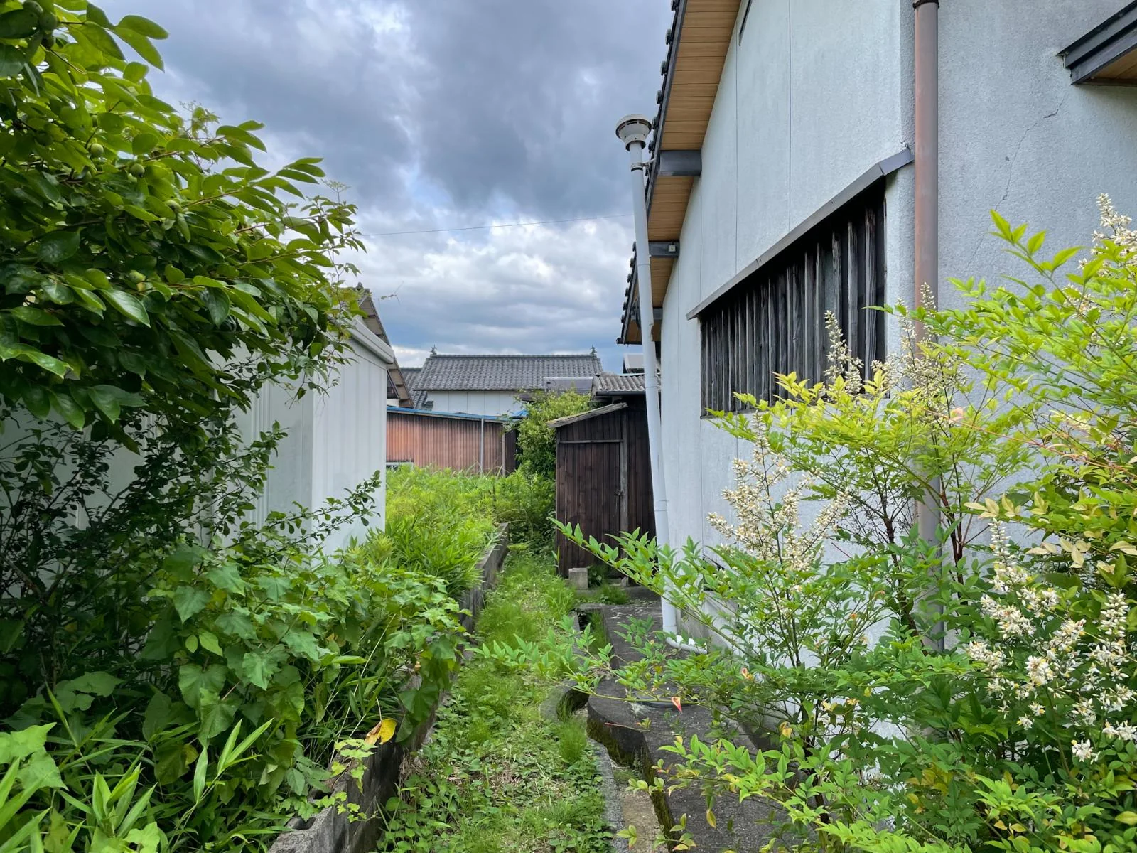 View 16