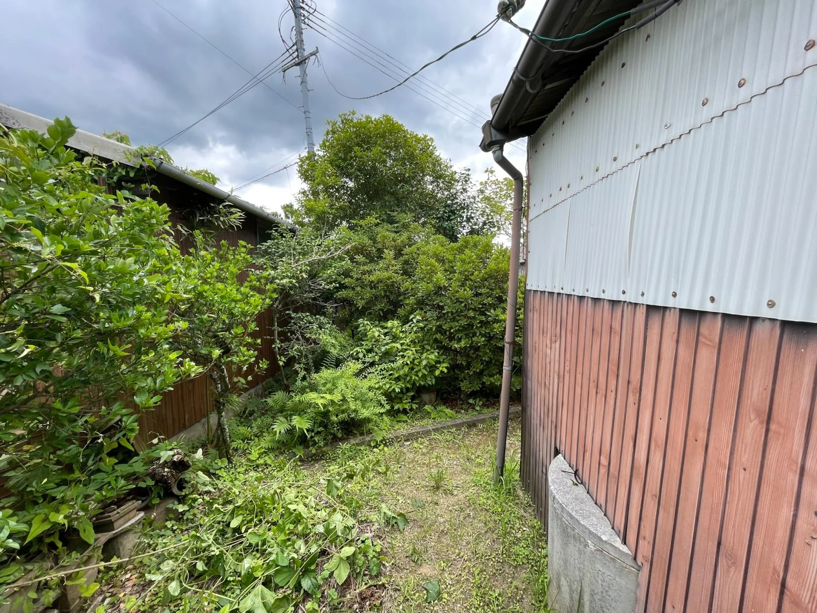 View 18