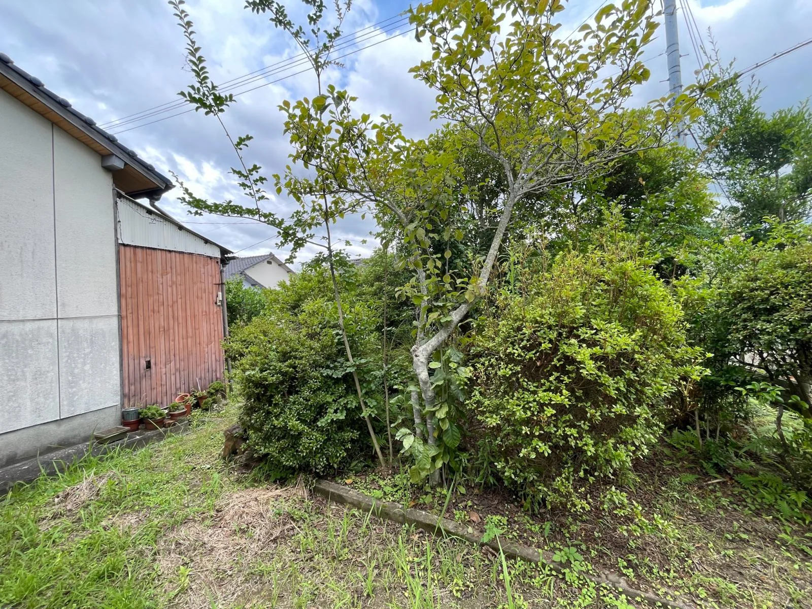View 20