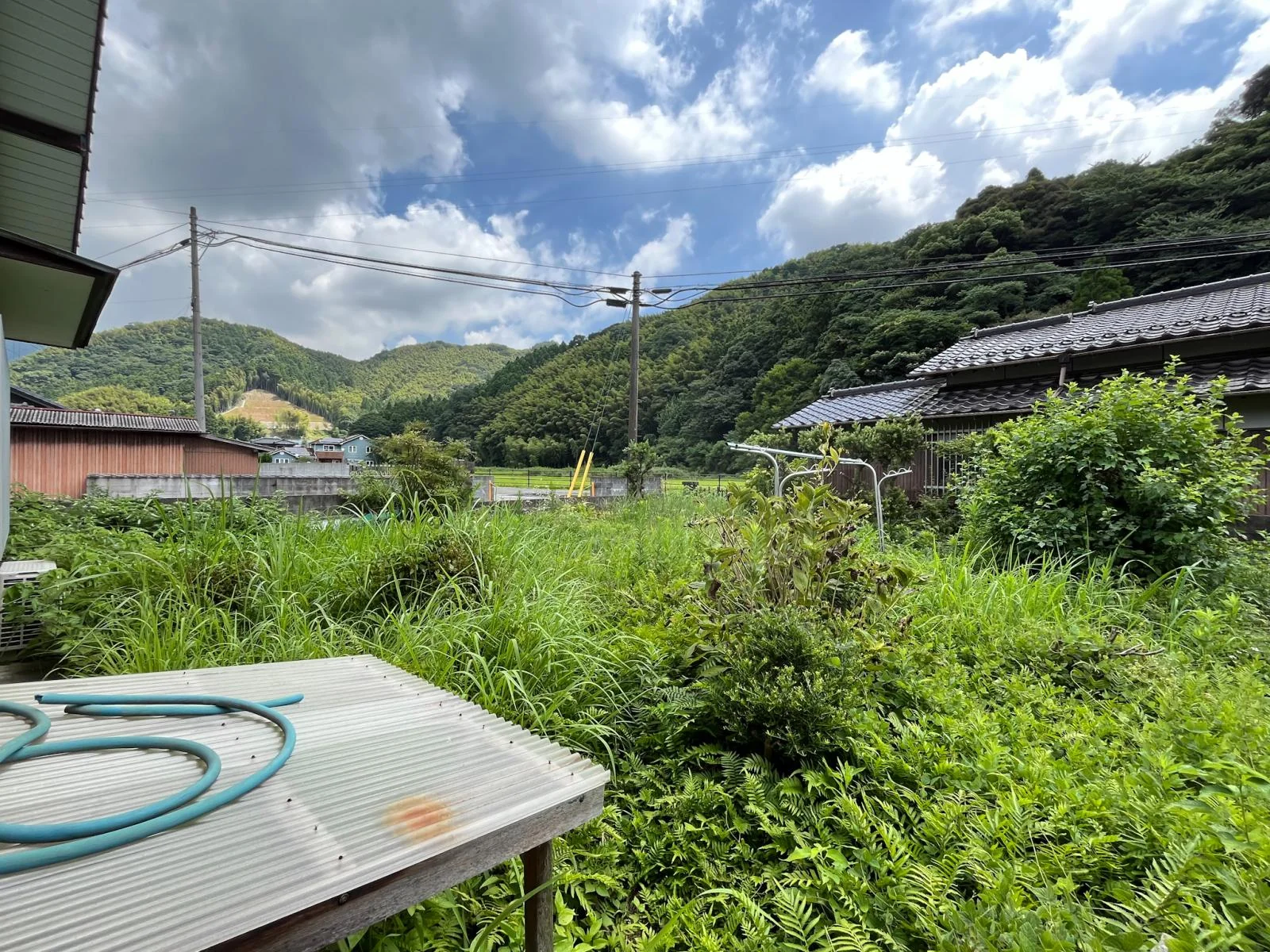 View 20