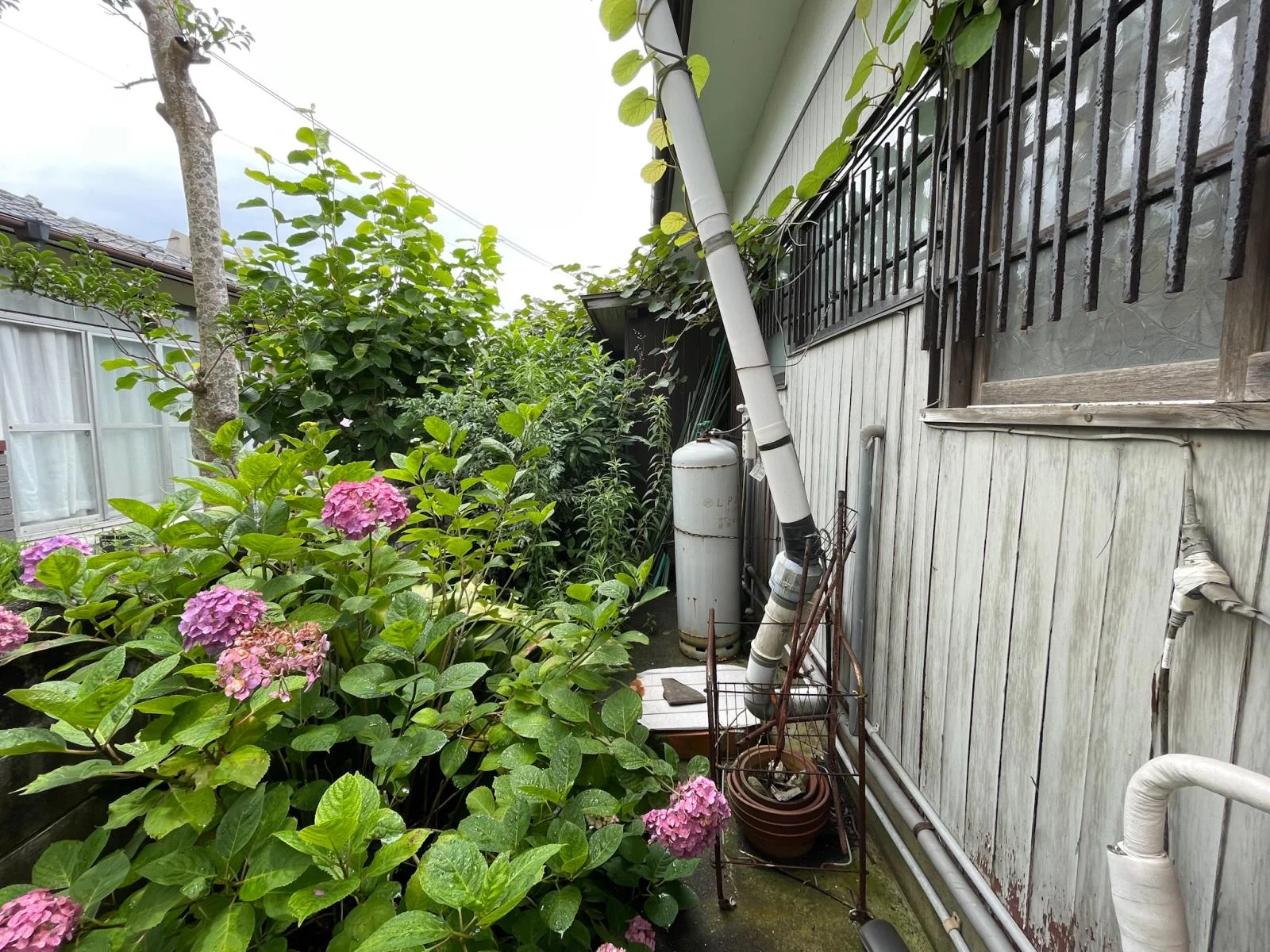 View 22