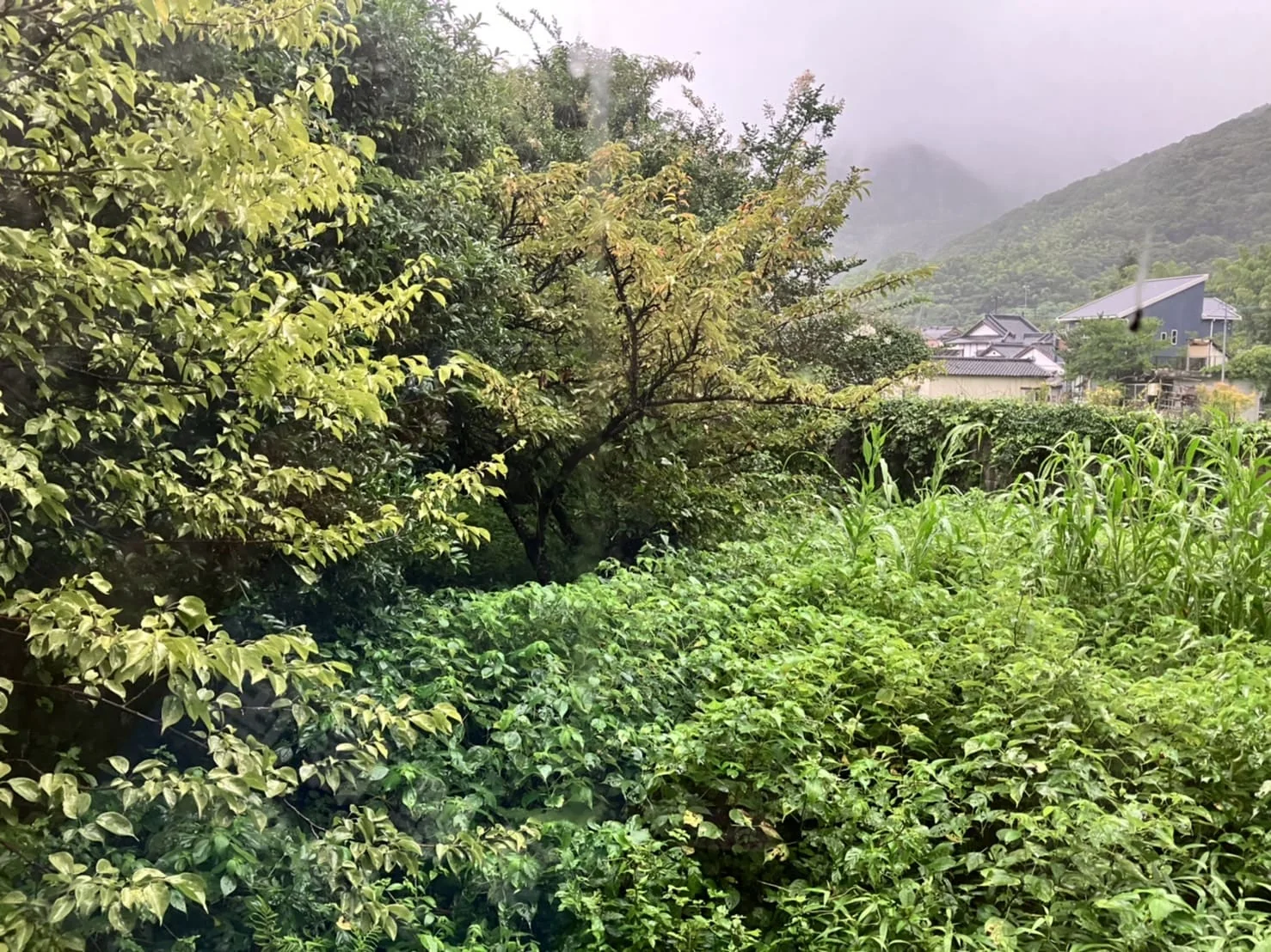View 24